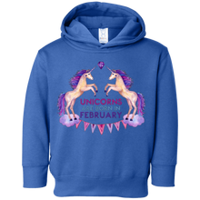 February Birthday Unicorn Gift Shirt Adult Kid Womens Girl