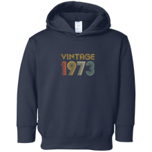Vintage 1973 , 44th Brithday T-Shirt