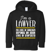 I'm A Lawyer Shirt New Lawyer Gift Law Student Gift Shirts