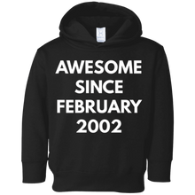 Awesome Since February 2002 t-shirt - February Birthdays