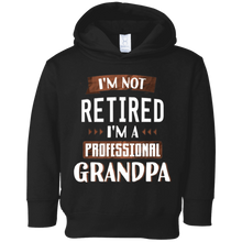 Mens I'm Not Retired I'm A Professional Grandpa Shirt Grandad
