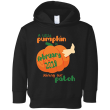 Little Pumpkin Pregnancy Announcement Shirt February 2018