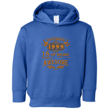 18 Of Being Years Awesome November 1999 Tee Shirt