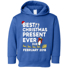 Christmas Pregnancy Shirt Best Present Due February 2018