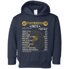 Aquarius Facts T-Shirt Aquarius Awesome Horoscope