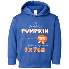 A Little Pumpkin Is Joining Our Patch February 2018 Mom Tee