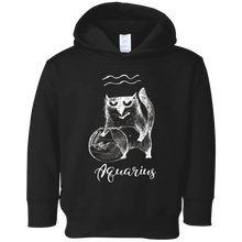 Funny Aquarius Cat Zodiac February Shirt Birthday Gift