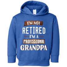 Mens I'm Not Retired I'm A Professional Grandpa Shirt Grandad
