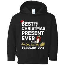 Christmas Pregnancy Shirt Best Present Due February 2018