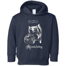 Funny Aquarius Cat Zodiac February Shirt Birthday Gift