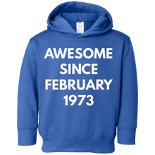 Awesome Since February 1973 t-shirt - February Birthdays