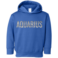 Funny Aquarius Shirt: Aquarius T-Shirt funny saying novelty