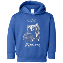 Funny Aquarius Cat Zodiac February Shirt Birthday Gift