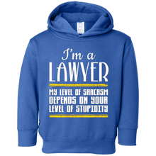 I'm A Lawyer Shirt New Lawyer Gift Law Student Gift Shirts