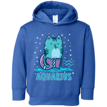 Aquarius Kitty Cat Zodiac February Birthday Astrology Gift