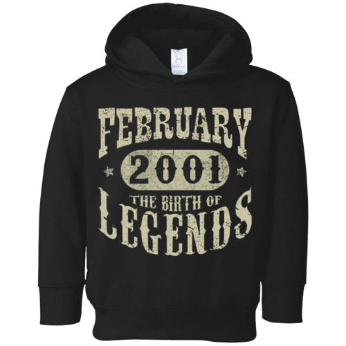 17 years 17th Birthday February 2001 Birth of Legend T-Shirt