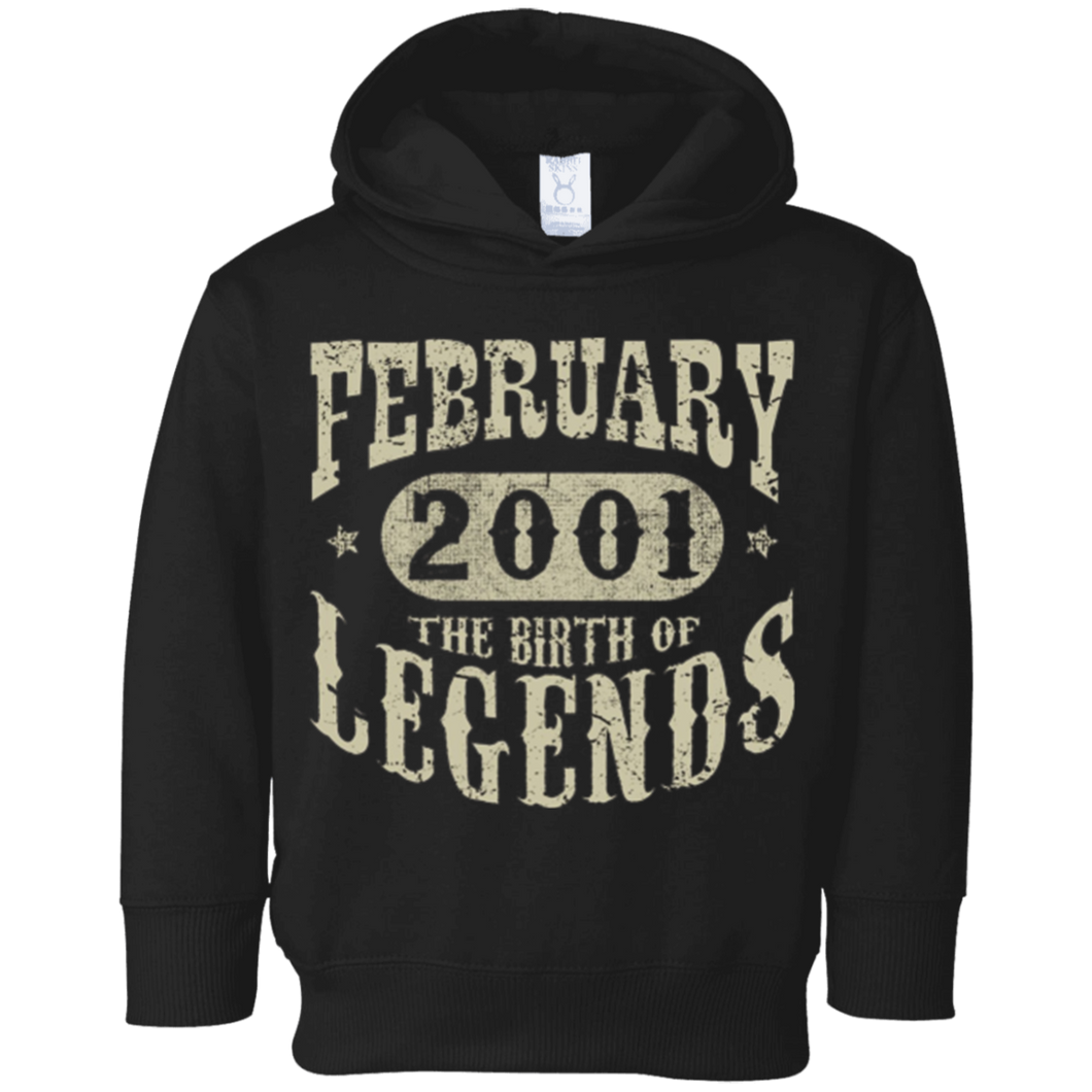 17 years 17th Birthday February 2001 Birth of Legend T-Shirt