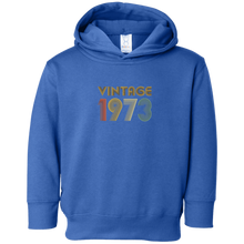 Vintage 1973 , 44th Brithday T-Shirt